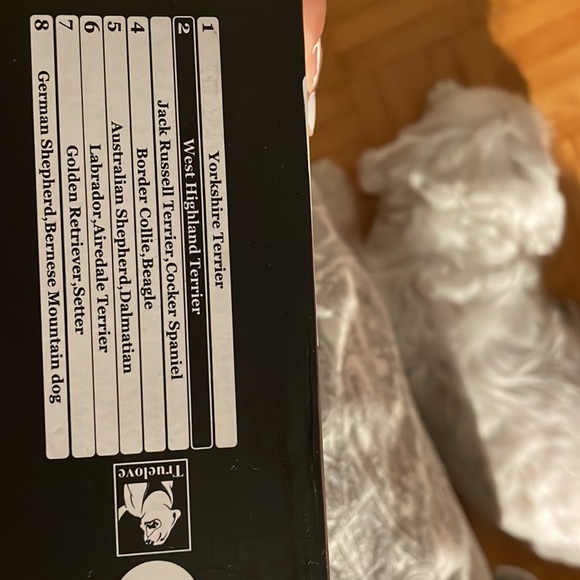 Like brand new, size 2! Tried on my bichon, but too big for her. - Picture 4 of 4